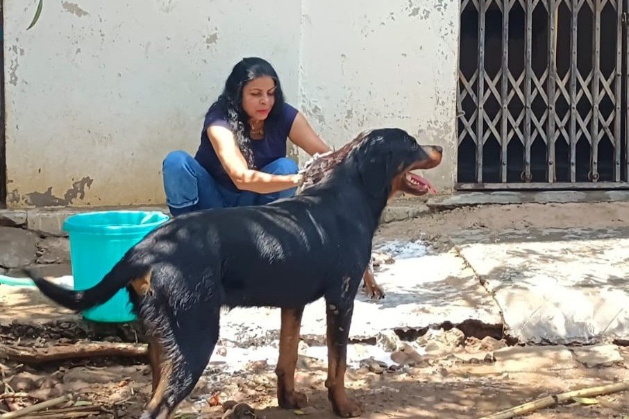 Animal Welfare